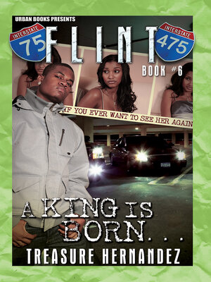 Flint Book 6 - ebook